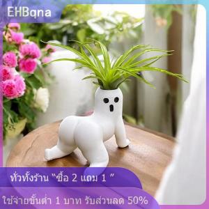 [COD] EHBqna KITCHEN กระถางผีก้นใหญ่ตลก กระถางปลูกพืชอวบน้ำแสดงของตกแต่งกระถางต้นไม้ของขวัญตลกๆ