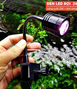 Đèn Rọi Kaokui KK-F05 (3W)(1W) - Led Rọi Cho Bể Cá Mini ánh sáng trắng vàng RGB