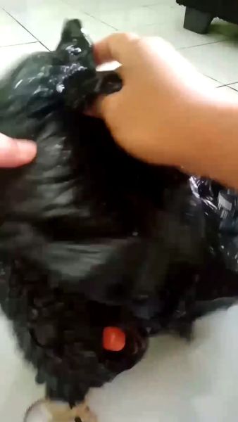 Buyer review video 2