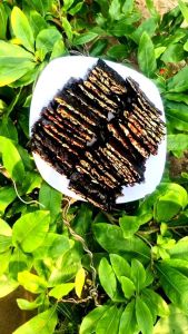 BÁNH RONG BIỂN KẸP HẠT DINH DƯỠNG CAO CẤP (250gr) - THƠM NGON BỔ DƯỠNG-PHÙ HỢP VỚI MỌI LỨA TUỔI gralona ngucocutthuy healthyfood3B