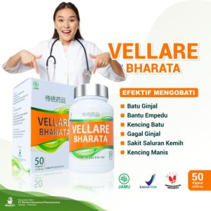 Obat Batu Ginjal Paling Ampuh - Vellare Bharata Original Kemasan 250gr Isi 50 Kapsul - Garansi 100% Asli