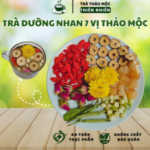 Trà dưỡng nhan detox 7 vị ngủ ngon mát gan giải độc trà thảo mộc an nhiên cỏ ngọt kỷ tử hoa hồngTrà Hoa Ngân Anh