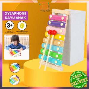 OFM-M328 Mainan Kolintang Alat Musik Pukul Anak Xylaphone Kayu Rainbow / Mainan Edukasi Musik Anak Silofon Children Wooden Music Toys Import