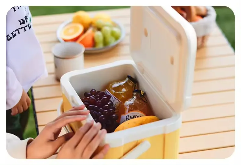 24 Litres Multi Function Cooler Box Halfords 40 Litre Mains And