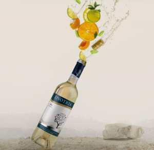 DOUBLE GOLD AT SAKURA JAPAN - AFFORDABLE Premium White Wine Case 12x750ml  - Aromatic Floral Universal Pairing Balanced Refreshing White Wine - Great with local food (hawker food courts fine dining etc)