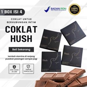 Hush chocolate dark milk chocolate 32 gram isi 4 pcs 1 box coklat cinta