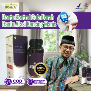 Bio Insuleaf Herbal Mampu Obati Gula Darah Kolesterol Diabetes Melitus Kencing Manis Gagal Ginjal
