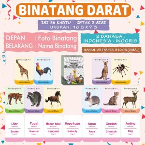 Flash Card Anak/ISI 36/BESAR/TEBAL
