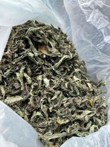 1kg Bồ Công Anh hàng VIP nguyên lá [ Phơi Khô Sạch Mới ] giá tốt trà bồ công anh thanh nhiệt lợi sữa mát sữa ngừa u xơ tiêu u nhọt hiệu quả