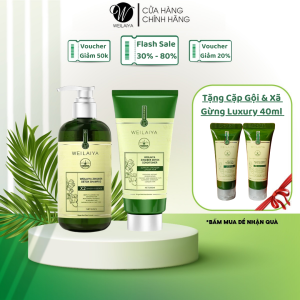 [Da Đầu Dầu] Bộ Gội Xả Gừng Xanh Luxury Hỗ Trợ Mọc Tóc & Ngăn Lão Hóa Da Đầu (Gội 420ml Xả 200ml)