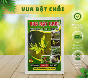 VUA BẬT CHỒI COMBO 5 TÚI 50GR | PHÂN BÓN KÍCH RỄ KÍCH CHỒI SIÊU MẠNH BUNG ĐỌT NHANH NPK CAO CẤP