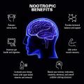 อาหารเสริมสำหรับสมอง นูโทรปิกส์ Quick Brain Nootropic 30 Vegetarian Capsules - Life Extension. 