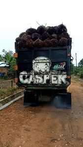 Knalpot Brong Truk Canter Isuzu Giga NMR71 Dutro Toyota Dyna