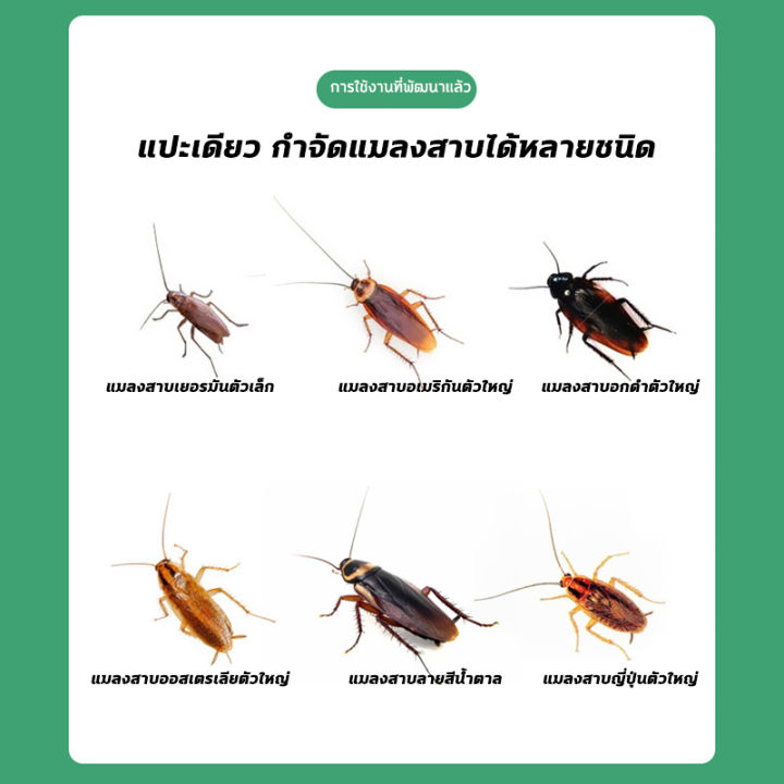 💥แมลงสาบตายทั้งรัง💥ที่กำจัดแมงสาบ ยาฆ่าแมลงสาบ เหยื่อแมลงสาบ เหยื่อ ...