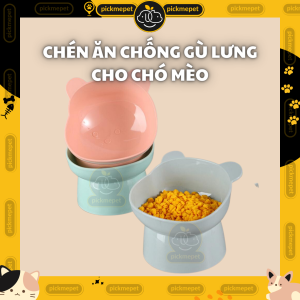 Chén Ăn Bát Ăn Chống Gù cho Chó Mèo Đế Cao