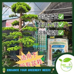 FERTI 190G Podocarpus & Bonsai Organic Fertilizer 特效有机质罗汉松&盆栽颗粒肥 (FR0052)