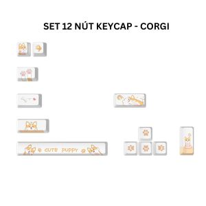 Set 12 Nút Keycap OEM - Keycap Bổ Sung PBT Chống Mài Mòn Trục Chéo Cho Bàn Phím Cơ