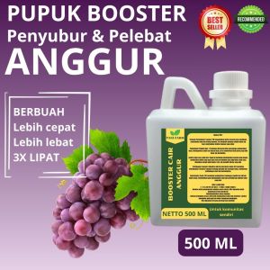 Pupuk Pelebat Buah Anggur / Pupuk Buah Anggur / Pupuk Booster Buah Anggur / Pupuk Buah Anggur