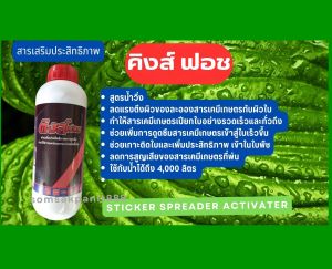 ( 1 ลิตร )คิงส์ฟอช  สารเสริมประสิทธิภาพ  สูตรน้ำวิ่ง  ลดแรงตึงผิวของละอองสารเคมีเกษตรกับผิวใบ  ทำให้สารเคมีเกษตรเปียกใบอย่างรวดเร็วและทั่วถึง  ช่วยเพิ่มการดูดซึมสารเคมีเกษตรเข้าสู่ใบเร็วขึ้น  ช่วยเกาะติดใบและเพิ่มประสิทธิภาพ   ใช้กับน้ำได้ถึง 4000 ลิตร