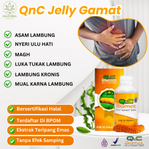Obat Nyeri Ulu Hati Lambung kronis Luka Tukak Lambung Asam Lambung Magh Ekstrak Teripang Emas ASLI - QnC Jelly Gamat