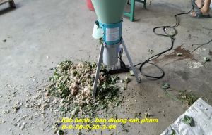 Máy băm rau bèo 550 tặng kèm bộ lưỡi dao