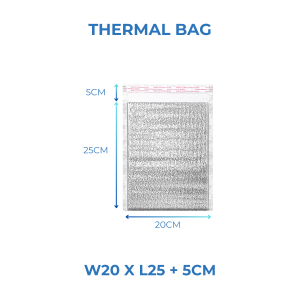 Thermal Bag for Food Delivery | Aluminium Foil Cooler Bag | Insulated Picnic Foam Box | Self-Seal Bubble Mailer