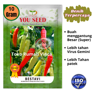 Benih Bibit Biji Cabe Rawit Setan Super BESTAVI 10g Cap You Seed