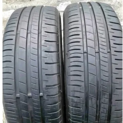 BAN mobil BRIDGESTONE ECOPIA 205/55 R16