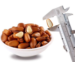 Everyone s favorite red pine nut open pine nut snacks dried fruits hand peeled bulk nuts