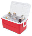Igloo Laguna 48 Qt Cooler (Red Star). 