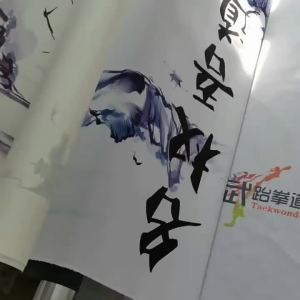 Taekwondo Uniforms Poomsae Uniforms Performance Uniforms Childrens Taekwondo Uniforms Sports Suits Karate ITF