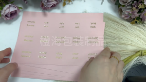 6แผ่นป้ายแสดงดัชนีไบเบิ้ลสำหรับตกแต่งแท็บพระคัมภีร์ไบเบิ้ลลามิเนตอ่านง่ายอุปกรณ์บันทึกพระคัมภีร์สำหรับเด็กผู้หญิง