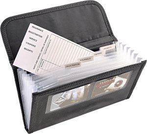 High Road Glove Organizer - Insurance and Registration Holder for Car Documents and Paperwork - Expandable Front Seat Organizer with Card Pockets