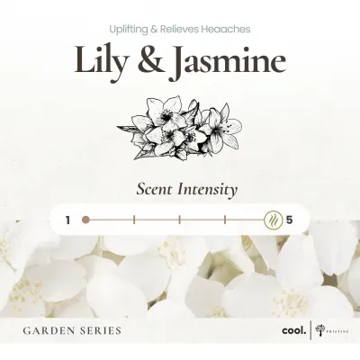 Pristine Home Scent Refill | Garden Series | Essential Oil | Floral Diffuser Refill | 180ml | Aroma Refill for Reed Diffuser
