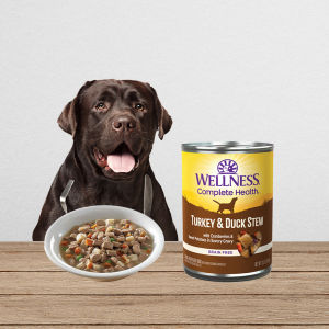 【Pet Mates】Wellness Complete Health - Stew Chunky Wet Canned Dog Food 12.5oz (354g)