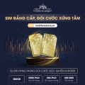 Sim số đẹp, sim tam hoa 666,sim tam hoa 888, sim data gói 6VIP3000, free tốc độ cao MXH 6 tháng không nạp tiền. 
