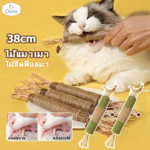 Chele พร้อมส่ง ไม้แมวเมา ไม้ขัดฟันแมว ไม้มาทาทาบิ ของเล่นแมว กัญชาแมว ลดคราบหินปูน