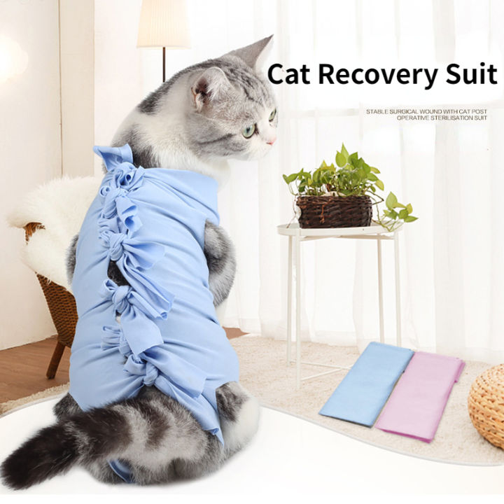LYing Shop [Tiktok Hot] Spring Summer Cat Recovery Suit Sterilization