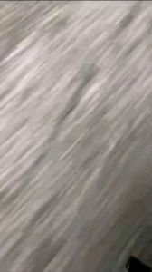 บูชล้อหลัง Stainless Steel แก้ล้อด ADV150-160PCX160 ลด 14% ตรงรุ่น