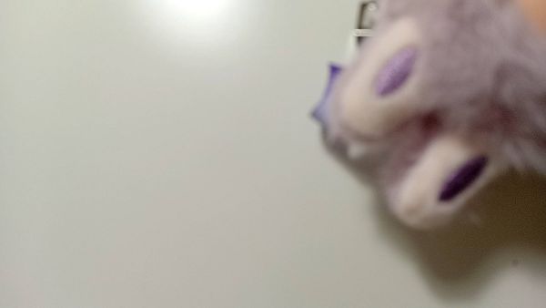 Buyer review video 5