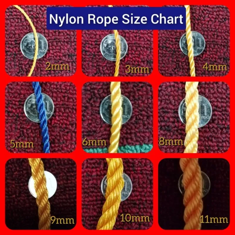 Customized Cut Nylon Rope (Price is per 10 meters) (Lubid / Tali