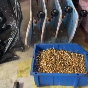 LZD Skateboard Board Long Board Processing Girl