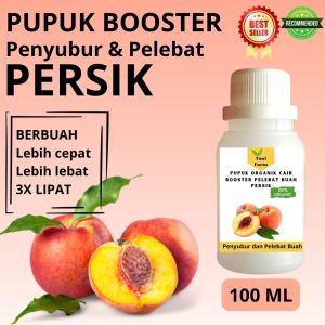 Pupuk Persik Cepat Berbuah / Pupuk Pelebat Buah Persik / Pupuk Booster Persik Cair