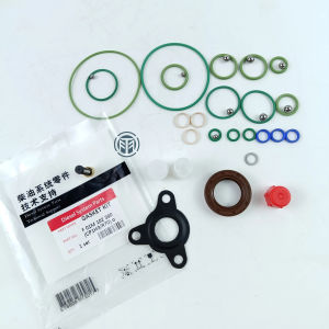 Best Quality ! ! Imported Repair Kit F01M102390 F 01M 102 390 For CP1H3 Pump BOSOH
