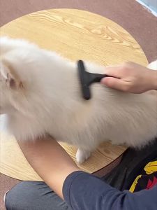 Hot-Selling Dog Grooming Rake Comb for Large Dogs – Removes Loose Fur & Detangles