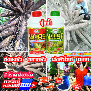 ปุ๋ยน้ำบูม99 แถมเสื้อ  เร่งแป้ง ขยายหัวมัน เก็บโค้ดส่งฟรีก่อนสั่ง‼️