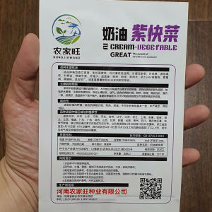 Hạt giống cải ngọt tím hàng nhập khẩu nội địa Trung