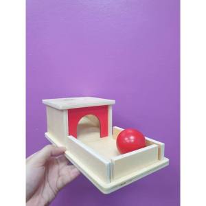 Montessori Wooden Sensory Ball Box Fine Motor Training