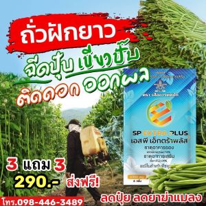 🌿 EXTRA PLUS เเอ็กตร้าพลัส ฮอร์โมนพืช  อาหารเสริมพืช เร่งผลผลิต เร่งใบ เร่งดอก โตไว แข็งแรง ปลอดภัยไร้สารพิษ 6 ซอง (เล็ก)
