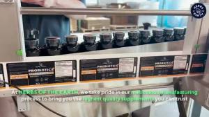 Probiotics 60 Billion CFU Prebiotics Lactobacillus Acidophilus 60 Caps From Herbs Of The Earth USA